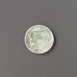Coin, Recovered  