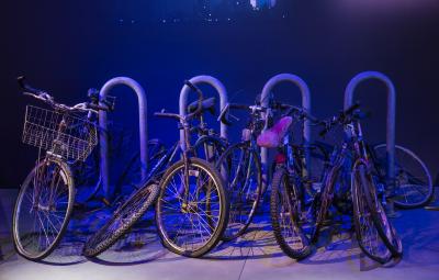 Bicycle Rack, Recovered