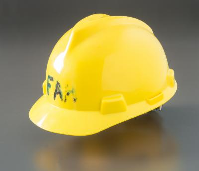 Hard Hat 