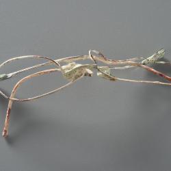 Eyeglasses, Recovered