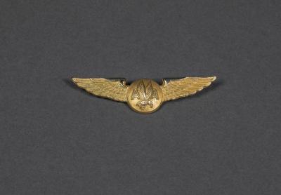 Flight Attendant Wings