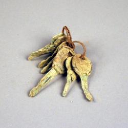 Identification Card, Recovered