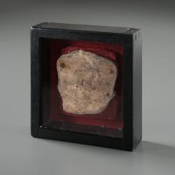 Front Piece, Recovered