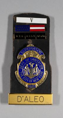 Badge and Medal Rack