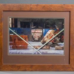 Photograph, Framed Print