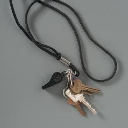 Screwdriver, Recovered