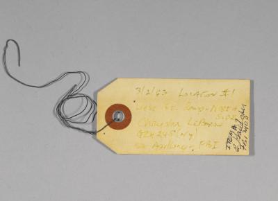 Identification Tag