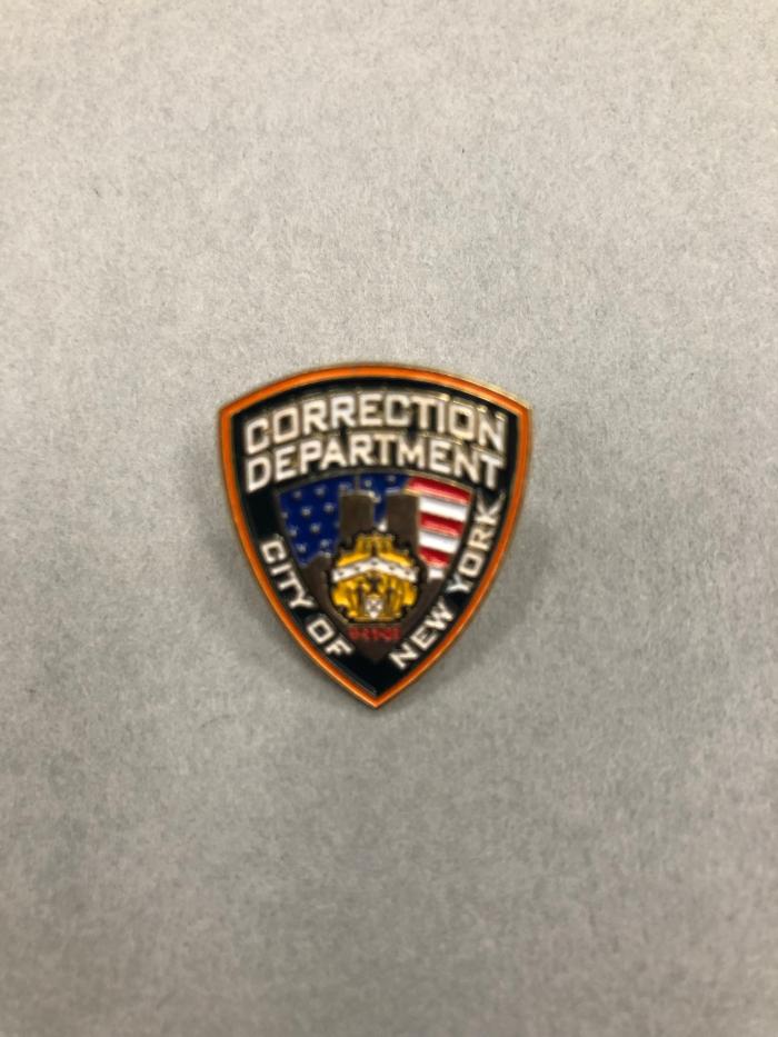 Lapel Pin