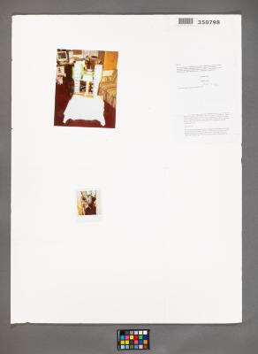 Design Plan