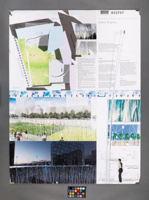 Design Plan
