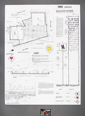 Design Plan