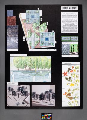 Design Plan