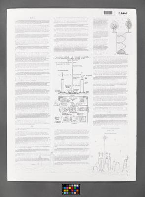 Design Plan