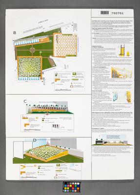 Design Plan