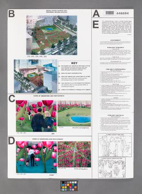 Design Plan