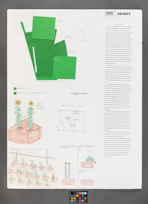 Design Plan