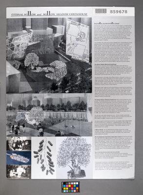 Design Plan