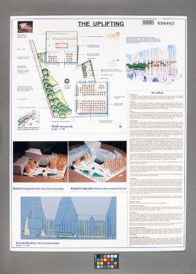 Design Plan