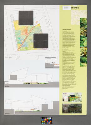 Design Plan