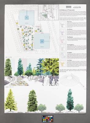 Design Plan