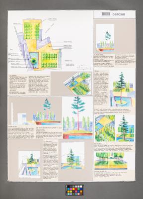 Design Plan