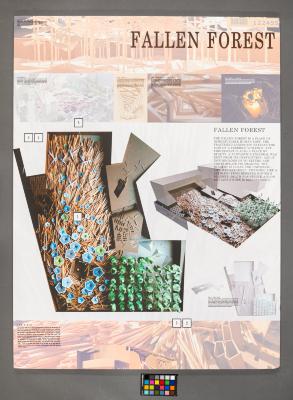 Design Plan