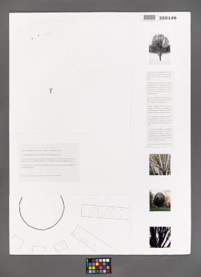 Design Plan