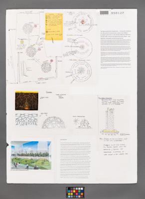 Design Plan