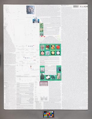 Design Plan