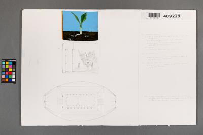 Design Plan